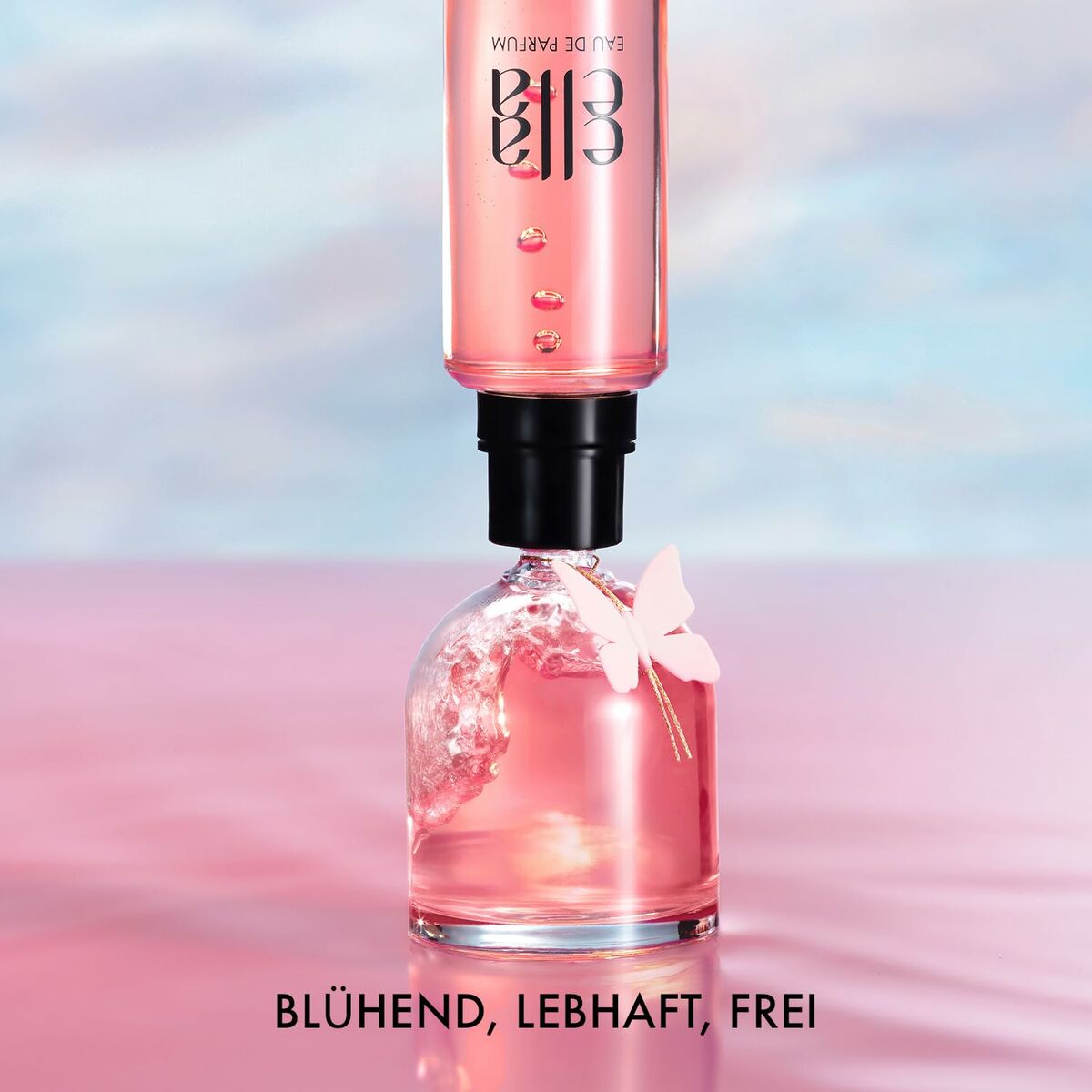 V1H341A4640E3EC17E1168A37EBA98B11D9RP2