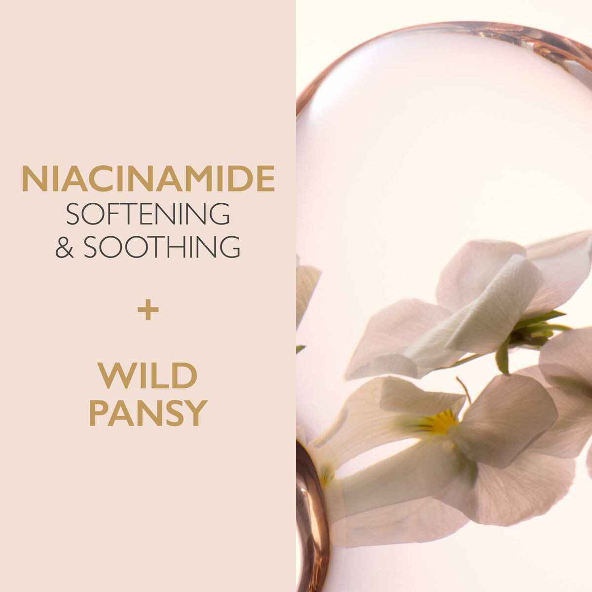 V2HA5CA12BDFF4A28F46B2379A410B24619R6237971P2