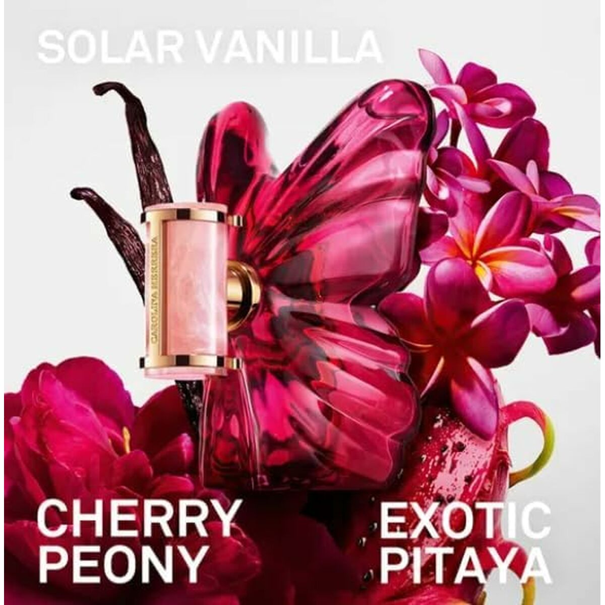 V1H90FA08DF02663FB208F16EEE7D931909RP3